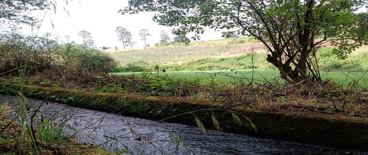 Foto de terreno habitacional en venta en  , atesquelites, valle de bravo, méxico, 27351660 No. 05