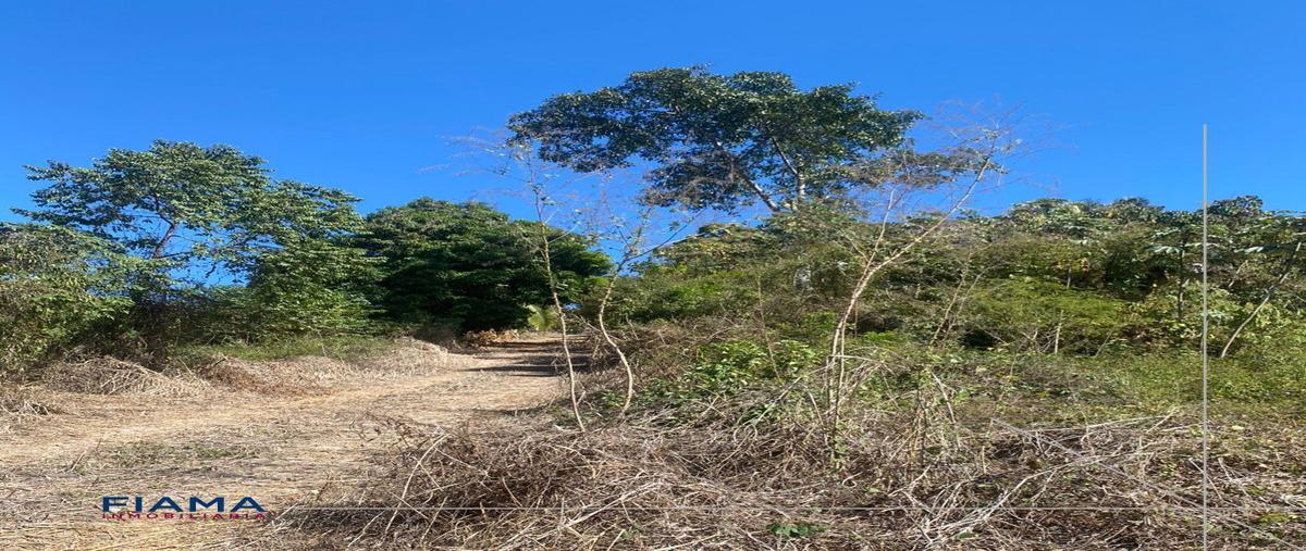 Foto de terreno habitacional en venta en  , aticama, san blas, nayarit, 0 No. 05