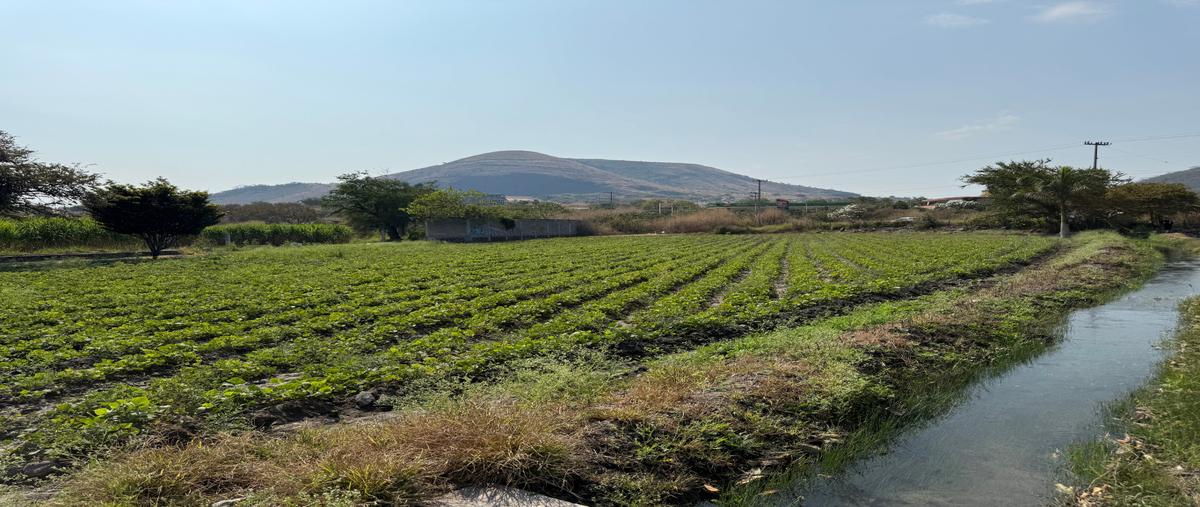 Foto de terreno habitacional en venta en  , atlacholoaya, xochitepec, morelos, 30131863 No. 03