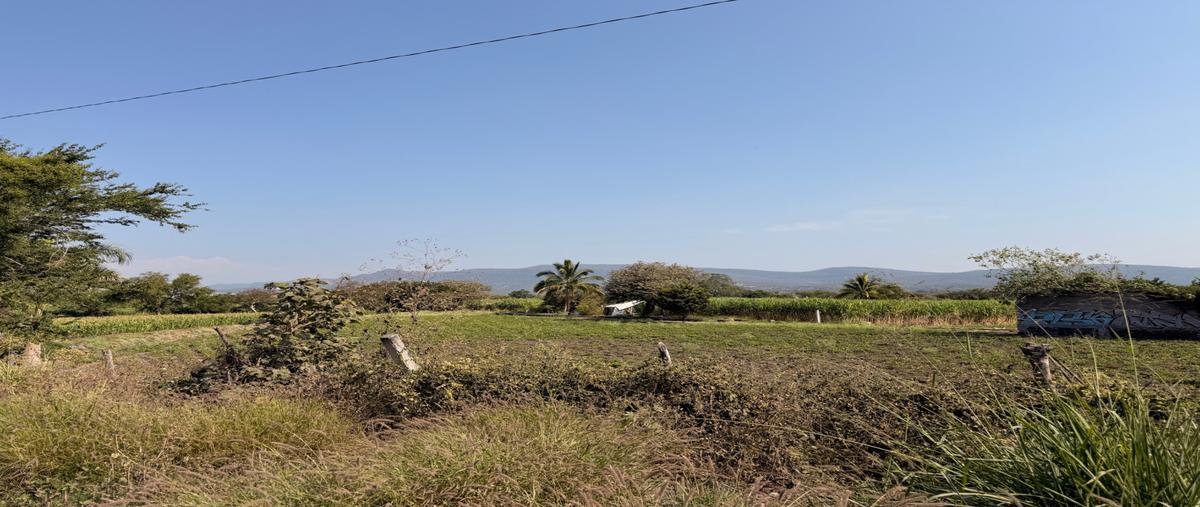 Foto de terreno habitacional en venta en  , atlacholoaya, xochitepec, morelos, 30131863 No. 04