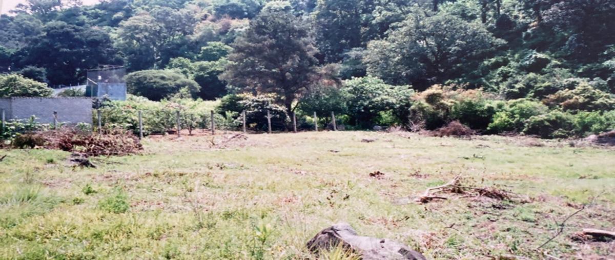 Foto de terreno industrial en atlahuacan , atlatlahucan, atlatlahucan, morelos, 28380496 foto 05 Foto de terreno industrial en venta en atlahuacan , atlatlahucan, atlatlahucan, morelos, 28380496 No. 05