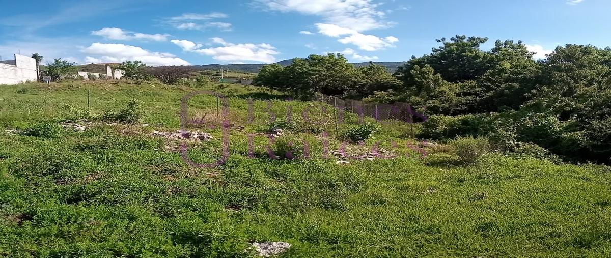 Foto de terreno habitacional en , atlatlahucan, atlatlahucan, morelos, 0 foto 03 Foto de terreno habitacional en venta en , atlatlahucan, atlatlahucan, morelos, 0 No. 03