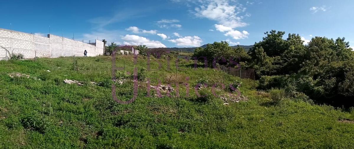 Foto de terreno habitacional en , atlatlahucan, atlatlahucan, morelos, 0 foto 05 Foto de terreno habitacional en venta en , atlatlahucan, atlatlahucan, morelos, 0 No. 05