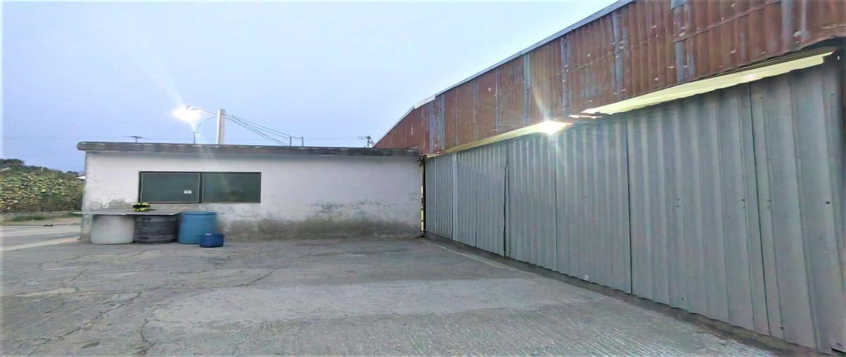Foto de bodega en renta en atlixco 101, atlixco centro, atlixco, puebla, 30254978 No. 01
