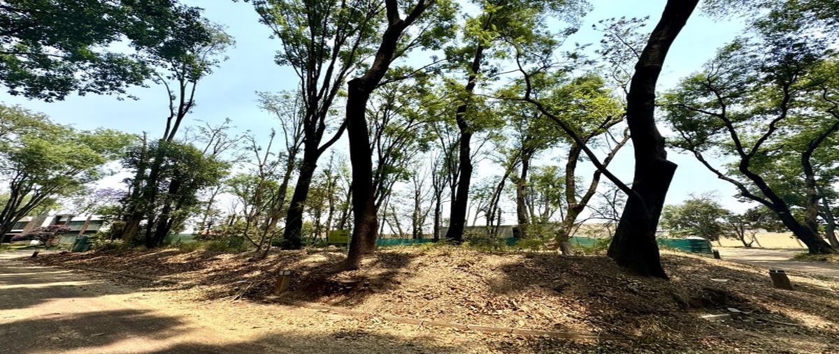 Foto de terreno habitacional en venta en  , atlixco 90, atlixco, puebla, 0 No. 04