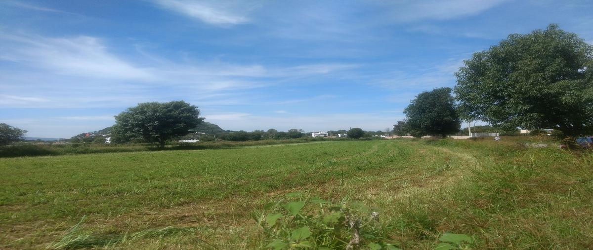 Foto de terreno habitacional en venta en  , atlixco centro, atlixco, puebla, 17621096 No. 04