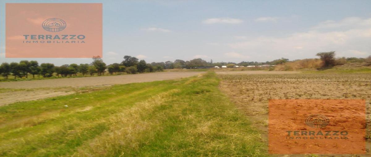 Foto de terreno habitacional en venta en  , atlixco centro, atlixco, puebla, 22457191 No. 05