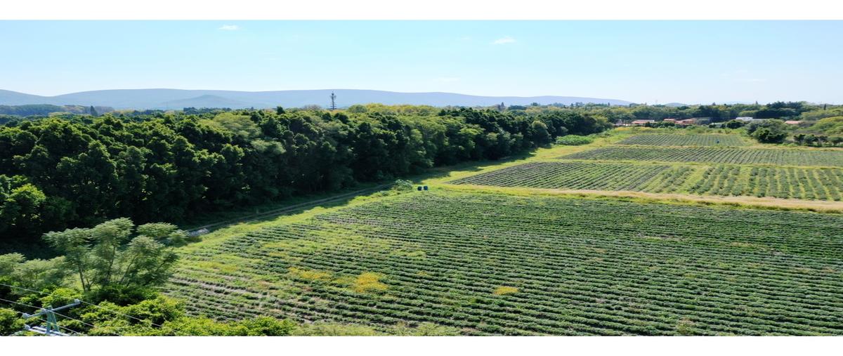 Foto de terreno habitacional en , atlixco centro, atlixco, puebla, 0 foto 01 Foto de terreno habitacional en venta en , atlixco centro, atlixco, puebla, 0 No. 01
