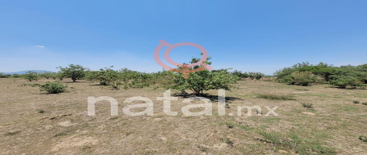 Foto de terreno habitacional en , atlixco centro, atlixco, puebla, 0 foto 03 Foto de terreno habitacional en venta en , atlixco centro, atlixco, puebla, 0 No. 03