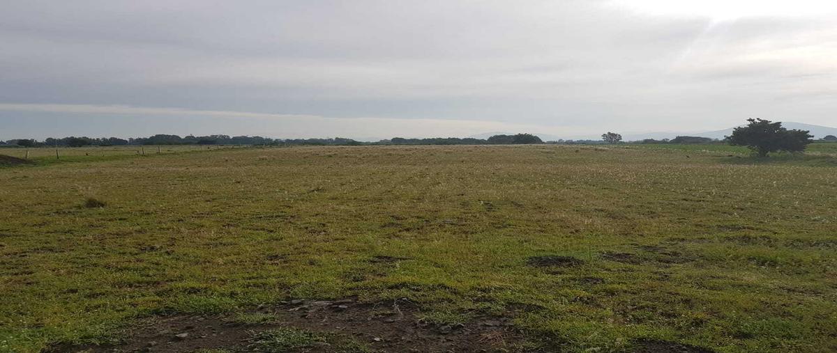 Foto de terreno habitacional en venta en  , atlixco centro, atlixco, puebla, 0 No. 05