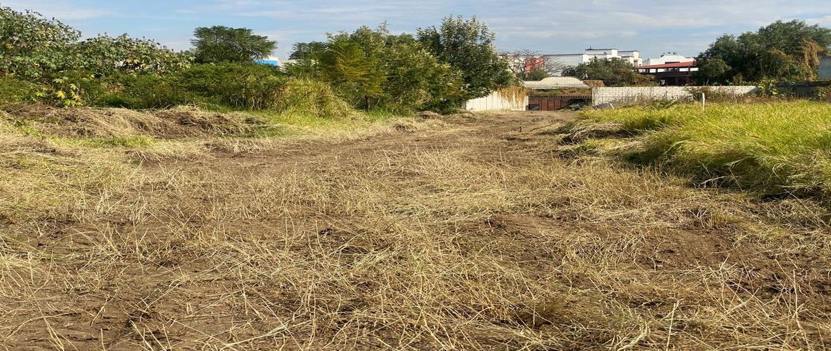 Foto de terreno habitacional en venta en  , atlixco centro, atlixco, puebla, 0 No. 05