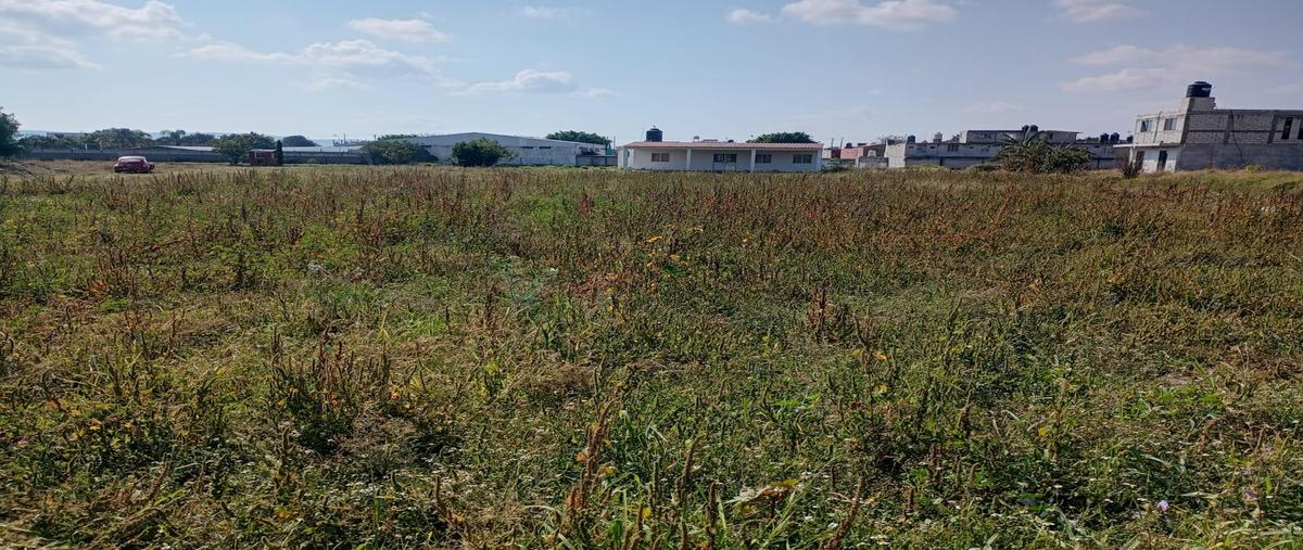 Foto de terreno habitacional en venta en  , atlixco centro, atlixco, puebla, 0 No. 03