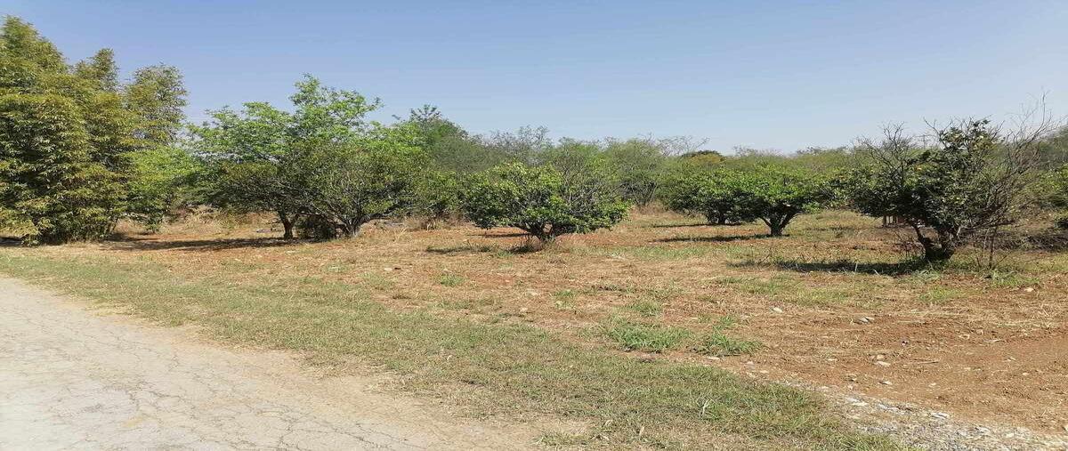Foto de terreno habitacional en venta en  , atongo de abajo (atongo allende), allende, nuevo león, 28527429 No. 04