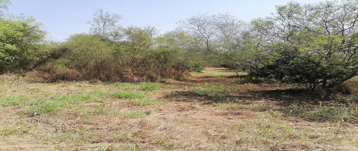 Foto de terreno habitacional en venta en  , atongo de abajo (atongo allende), allende, nuevo león, 28527429 No. 07