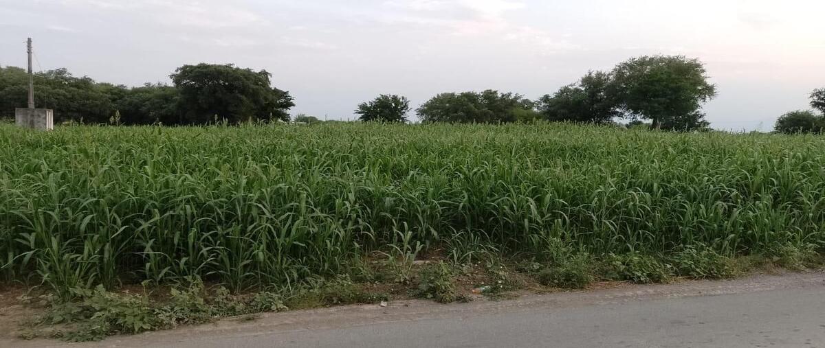 Foto de terreno habitacional en , atongo de abajo (atongo allende), allende, nuevo león, 28826500 foto 03 Foto de terreno habitacional en venta en , atongo de abajo (atongo allende), allende, nuevo león, 28826500 No. 03
