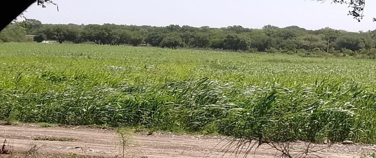Foto de terreno habitacional en , atongo de abajo (atongo allende), allende, nuevo león, 28826500 foto 04 Foto de terreno habitacional en venta en , atongo de abajo (atongo allende), allende, nuevo león, 28826500 No. 04