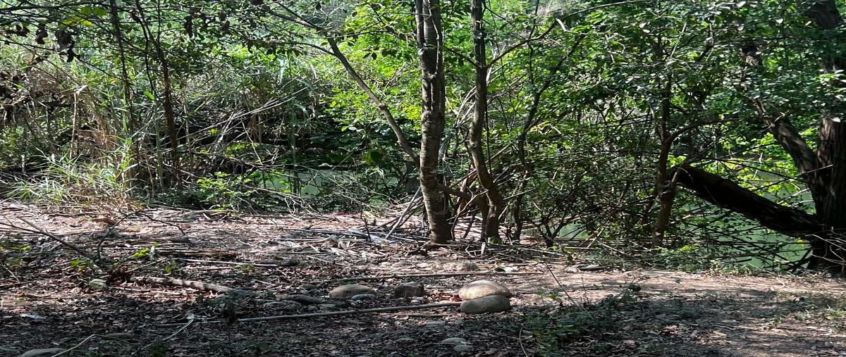 Foto de terreno habitacional en , atongo de abajo, cadereyta jiménez, nuevo león, 0 foto 03 Foto de terreno habitacional en venta en , atongo de abajo, cadereyta jiménez, nuevo león, 0 No. 03
