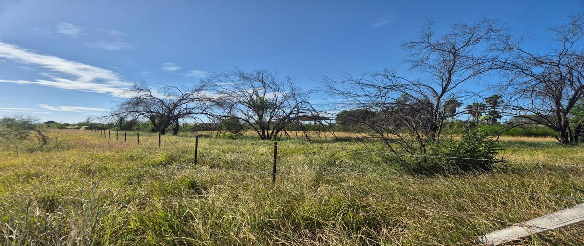 Foto de terreno habitacional en venta en  , atongo de abajo, cadereyta jiménez, nuevo león, 0 No. 03