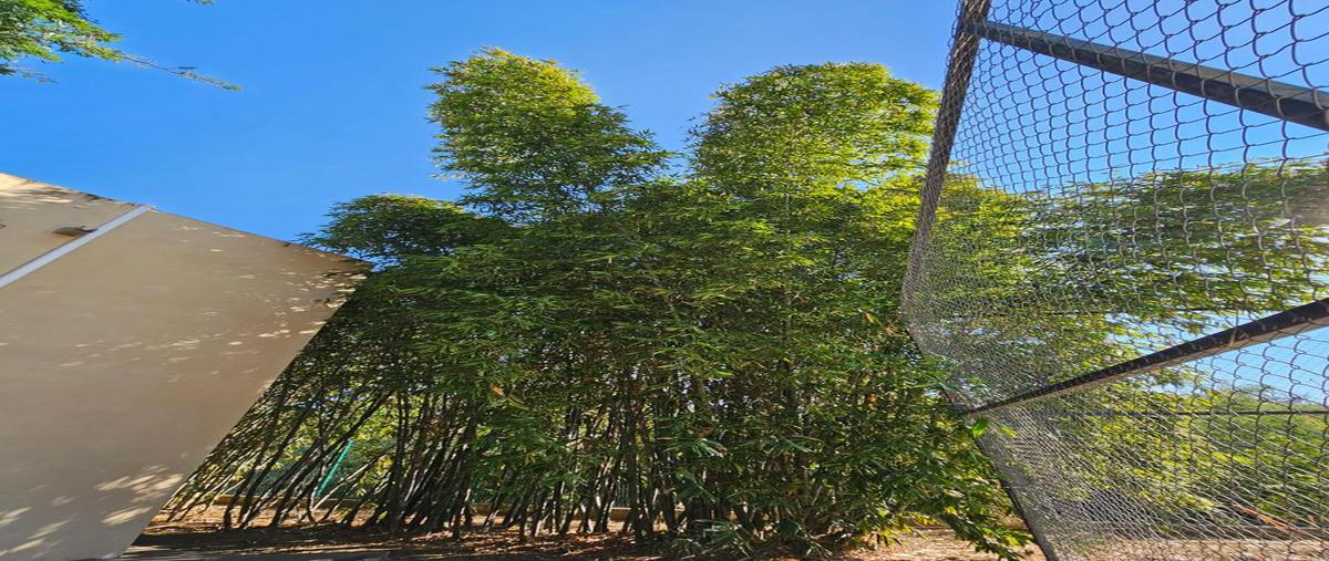 Foto de casa en venta en  , atongo de allende, allende, nuevo león, 27670697 No. 03