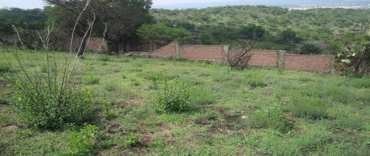 Foto de terreno habitacional en venta en atotonilco de tula 1, atotonilco de tula centro, atotonilco de tula, hidalgo, 8875303 No. 03