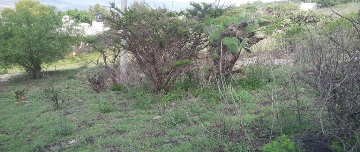 Foto de terreno habitacional en venta en atotonilco de tula 1, atotonilco de tula centro, atotonilco de tula, hidalgo, 8875303 No. 05