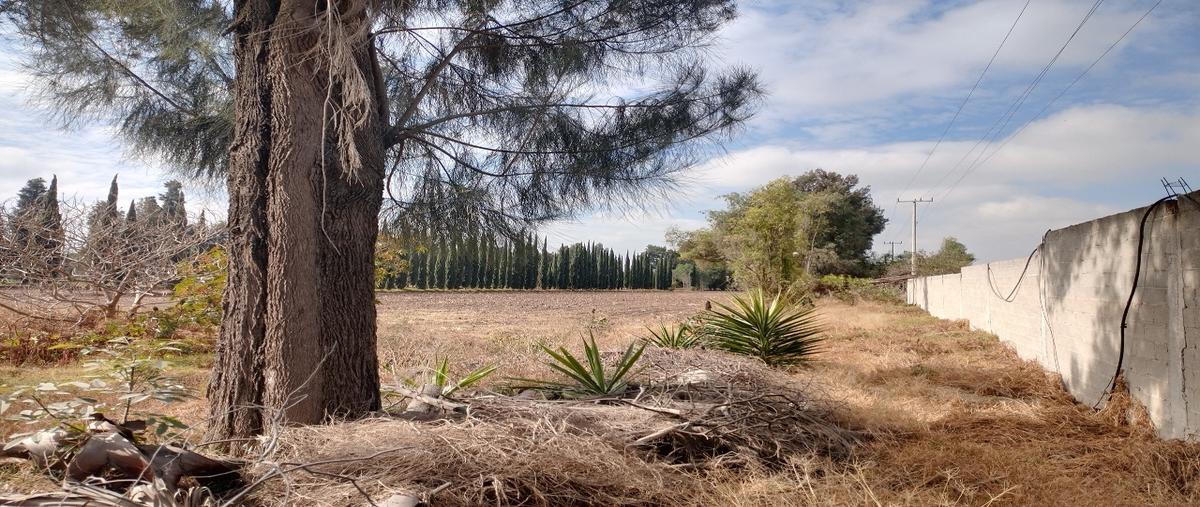 Foto de terreno habitacional en venta en  , atotonilco de tula centro, atotonilco de tula, hidalgo, 0 No. 04