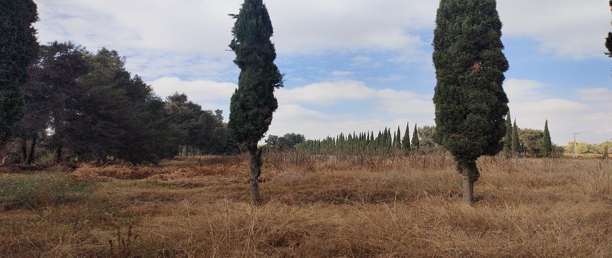 Foto de terreno habitacional en venta en  , atotonilco de tula centro, atotonilco de tula, hidalgo, 0 No. 05