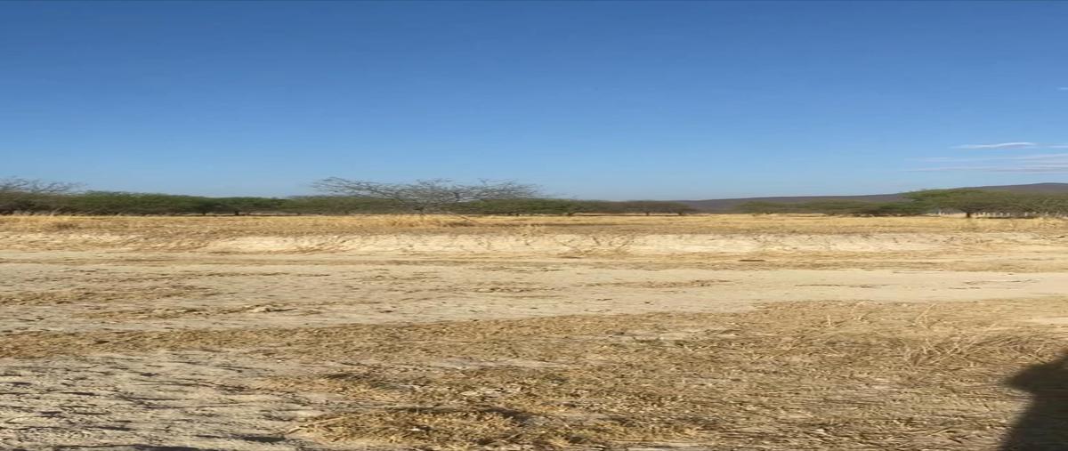 Foto de terreno habitacional en venta en  , atotonilco el bajo, villa corona, jalisco, 28253219 No. 03