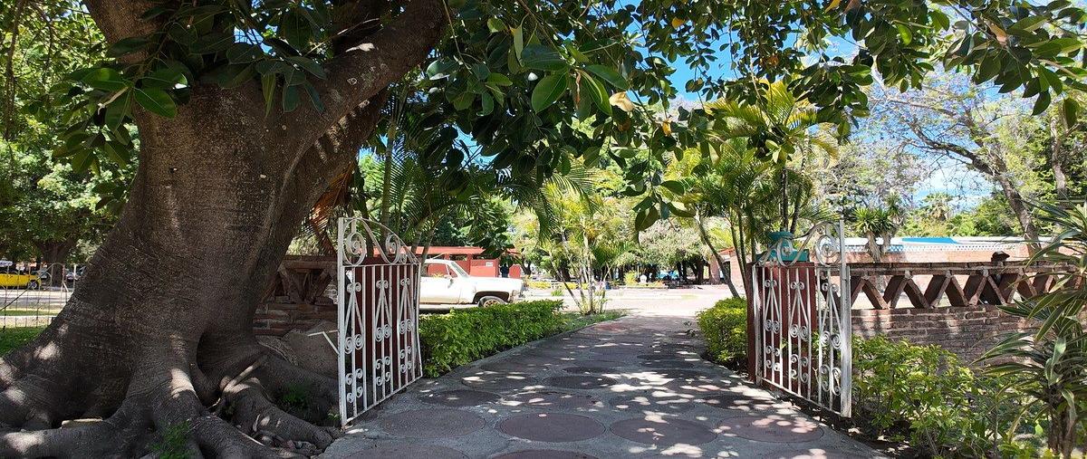 Foto de terreno comercial en venta en  , atotonilco el bajo, villa corona, jalisco, 31094417 No. 04