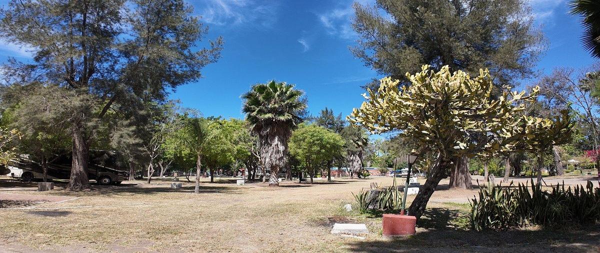 Foto de terreno comercial en venta en  , atotonilco el bajo, villa corona, jalisco, 31094417 No. 05