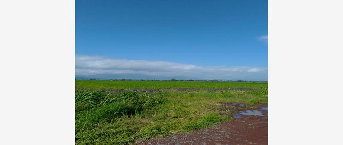 Foto de terreno comercial en venta en  , atotonilquillo, chapala, jalisco, 21655720 No. 01