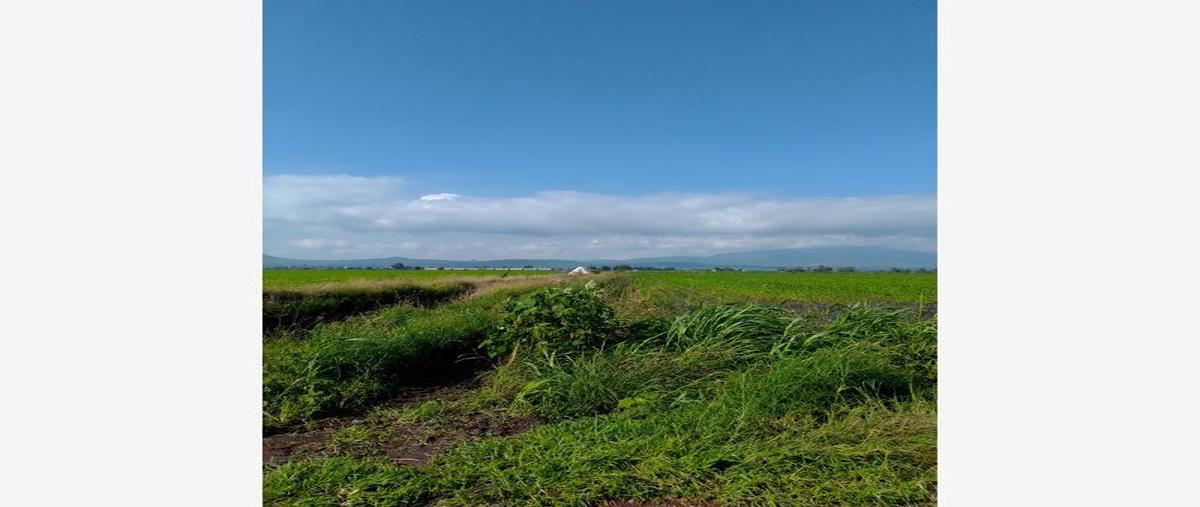 Foto de terreno comercial en venta en  , atotonilquillo, chapala, jalisco, 21655720 No. 02