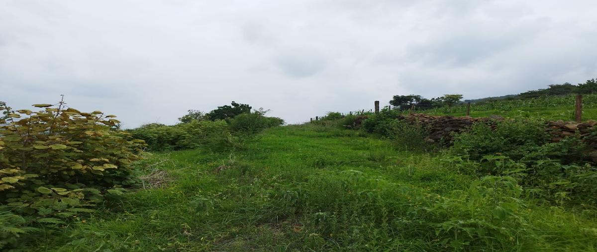 Foto de terreno habitacional en venta en  , atotonilquillo, chapala, jalisco, 27074249 No. 03