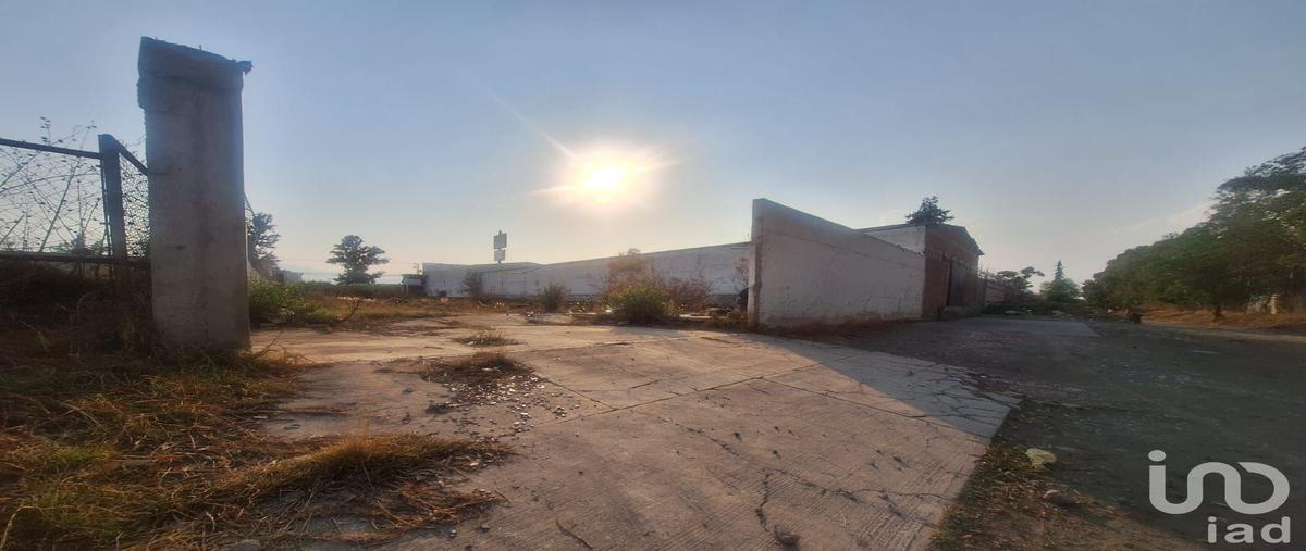 Foto de terreno comercial en renta en atoyatenco , san cristÃ³bal tepatlaxco, san martÃ­n texmelucan, puebla, 29798209 No. 05