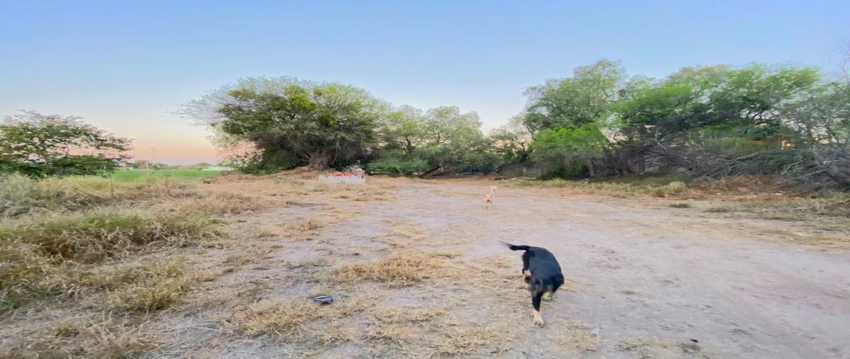 Foto de terreno habitacional en venta en atr&aacute;s de santuarios del cerrito , el pueblito, corregidora, querétaro, 27980696 No. 03
