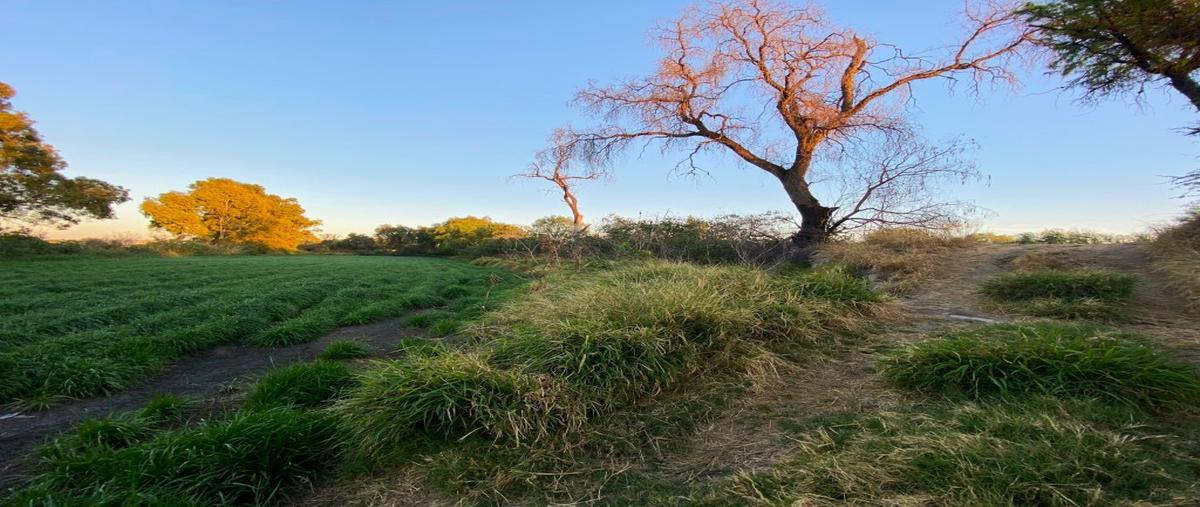 Foto de terreno habitacional en venta en atras de santuarios del cerrito , el pueblito, corregidora, querétaro, 27980698 No. 03