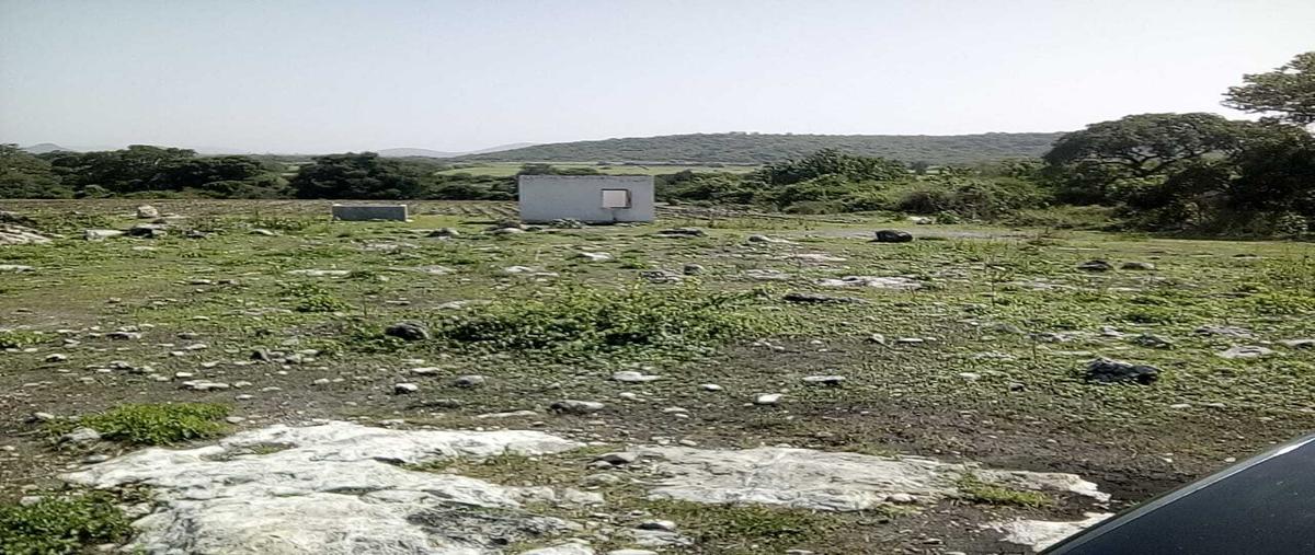 Foto de terreno habitacional en venta en  , atzala, atzala, puebla, 30337333 No. 05