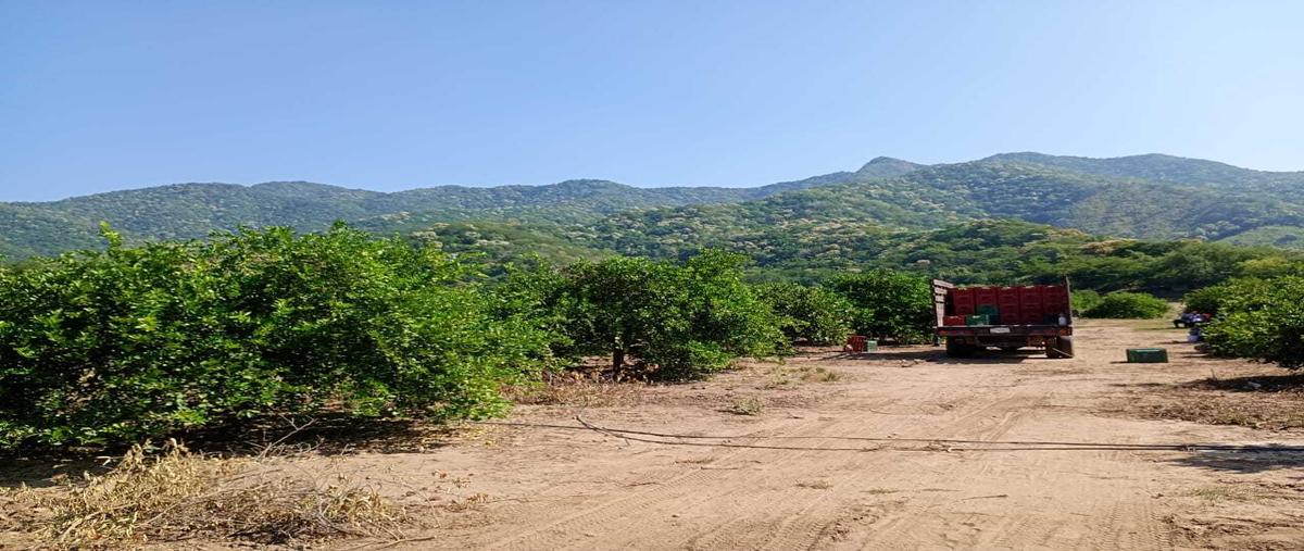 Foto de terreno habitacional en , augusto gómez villanueva, armería, colima, 0 foto 03 Foto de terreno habitacional en venta en , augusto gómez villanueva, armería, colima, 0 No. 03