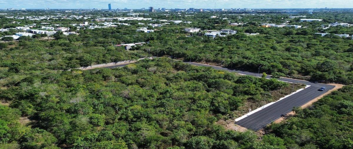 Foto de terreno habitacional en venta en aura , dzitya, mérida, yucatán, 0 No. 05