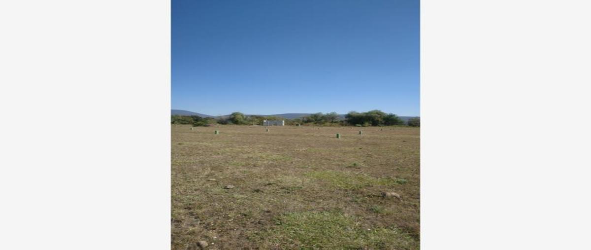 Foto de terreno habitacional en venta en aurora 15, la sabana (san juan la sabana), atlixco, puebla, 14448236 No. 03
