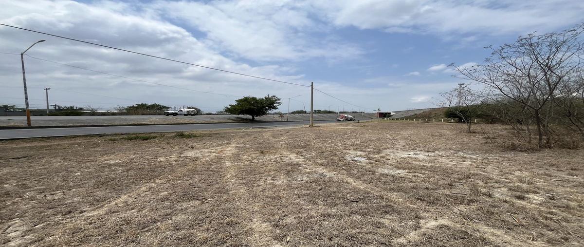 Foto de terreno industrial en venta en autopista , cadereyta jimenez centro, cadereyta jiménez, nuevo león, 0 No. 04