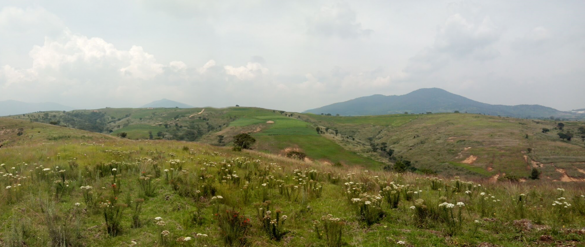 Foto de terreno comercial en venta en autopista chamapa lecheria , lomas verdes 6a sección, naucalpan de juárez, méxico, 23710009 No. 03