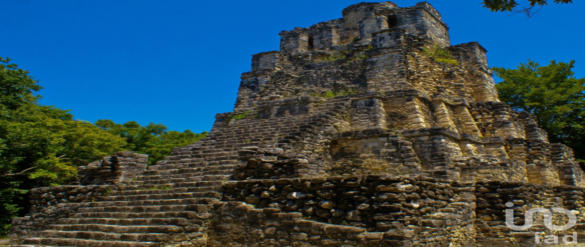 Foto de terreno comercial en venta en autopista fed 307 268, chun on, felipe carrillo puerto, quintana roo, 30845877 No. 03