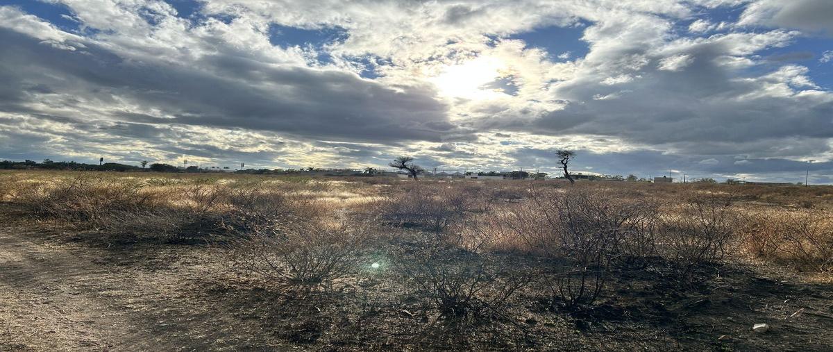 Foto de terreno industrial en venta en autopista federal 45 , nápoles, silao de la victoria, guanajuato, 29076420 No. 04
