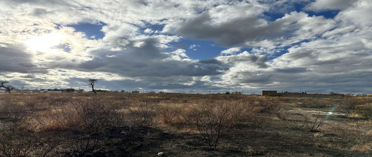 Foto de terreno industrial en venta en autopista federal 45 , nápoles, silao de la victoria, guanajuato, 29076420 No. 05