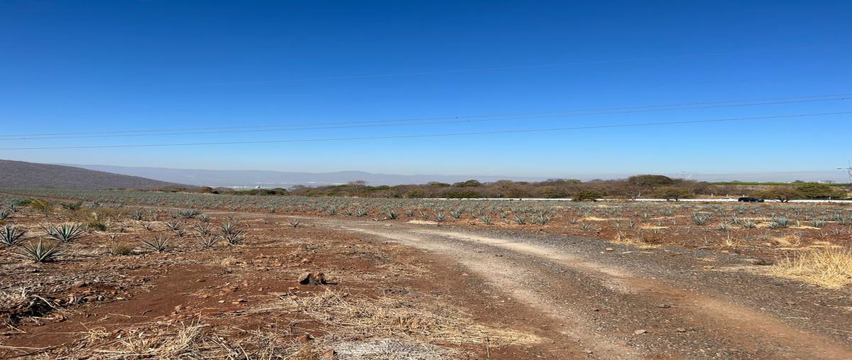 Foto de terreno comercial en venta en autopista guadalajara colima , acatlán de juárez centro, acatlán de juárez, jalisco, 0 No. 04
