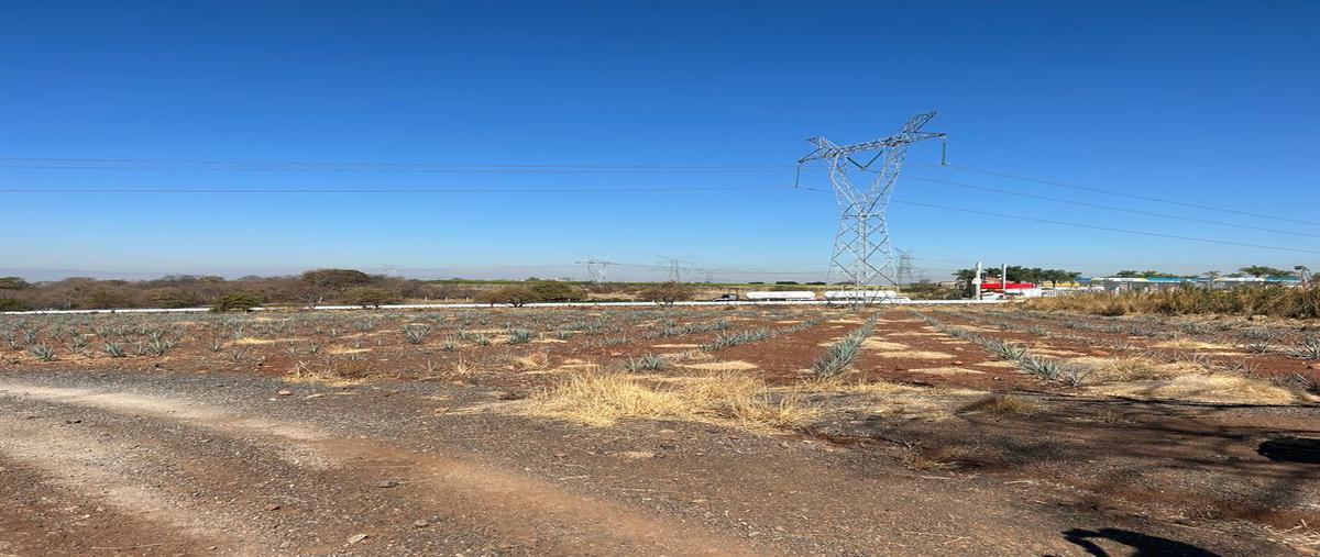 Foto de terreno comercial en venta en autopista guadalajara colima , acatlán de juárez centro, acatlán de juárez, jalisco, 0 No. 05