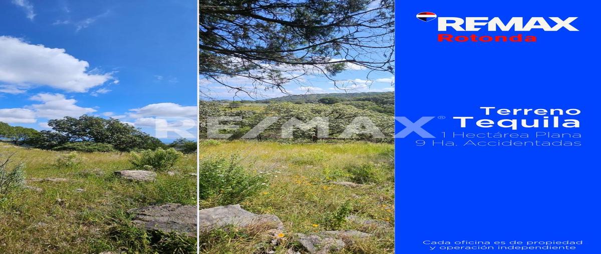 Foto de terreno habitacional en venta en autopista guadalajara-tepic , tequila centro, tequila, jalisco, 0 No. 04