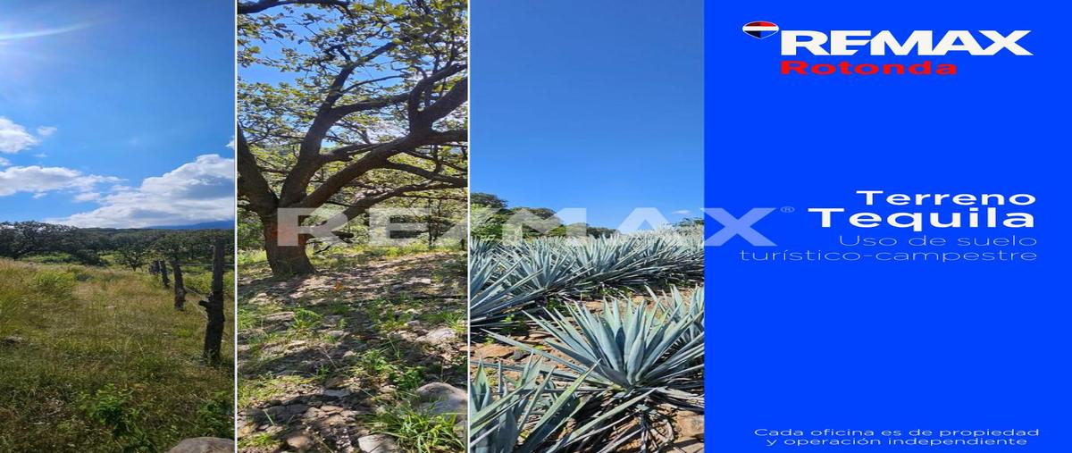 Foto de terreno habitacional en venta en autopista guadalajara-tepic , tequila centro, tequila, jalisco, 0 No. 05