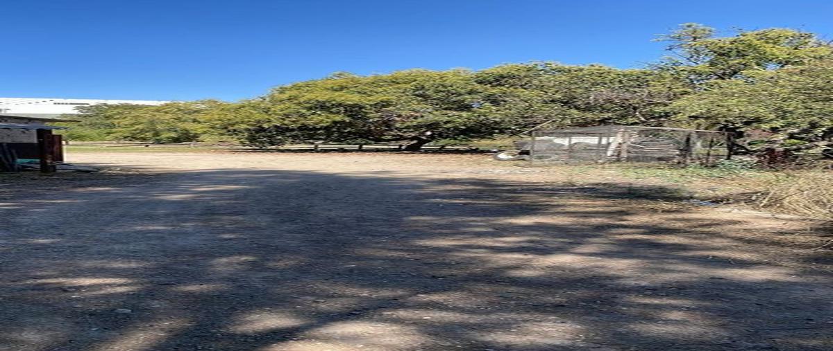Foto de terreno habitacional en venta en autopista guadalara-colima 20, el centarro, tlajomulco de zúñiga, jalisco, 0 No. 05